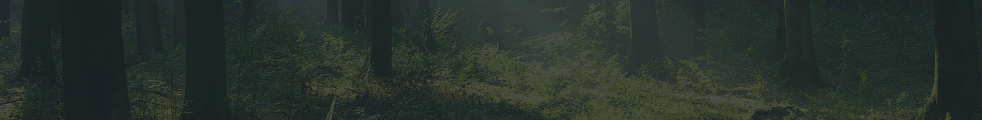 君子签全周期一站式智能合同平台